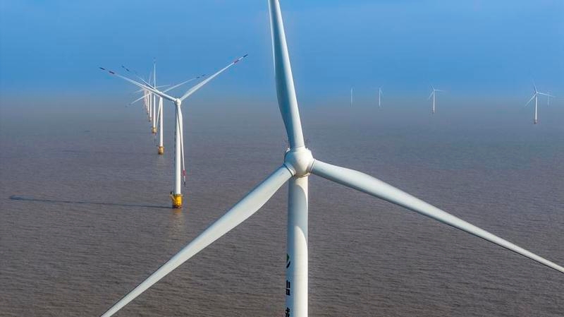 New alliance established in Dalian to promote offshore wind industry development